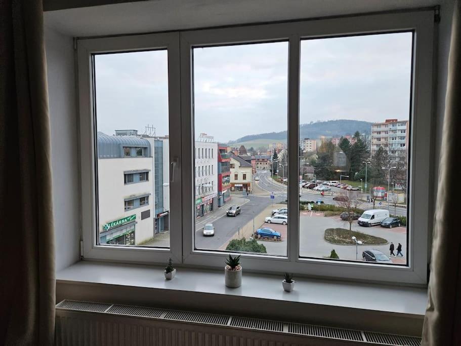 Prostorny Byt 3+1 Pro 4 Osob Moznost Pristylky+2Os Šumperk Eksteriør billede